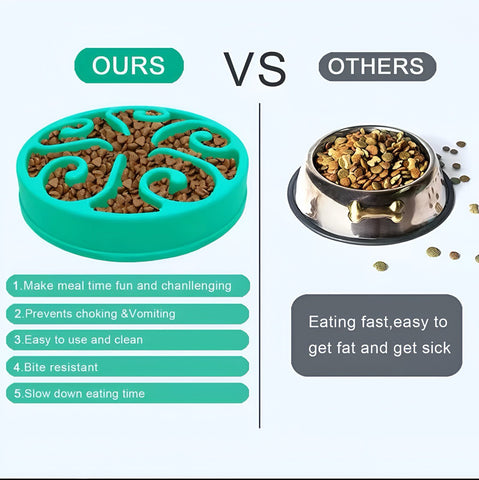 Slow Feeder Bowl
