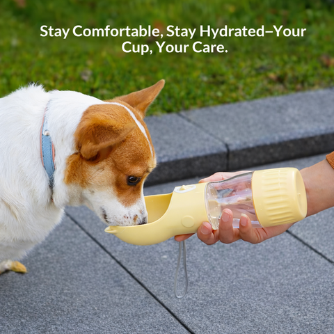 Portable Pet Water Bottle