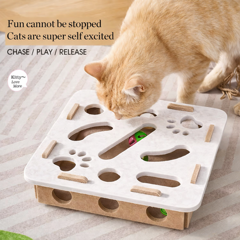 Mental Stimulation Puzzle Toy for Indoor Cats 🧠