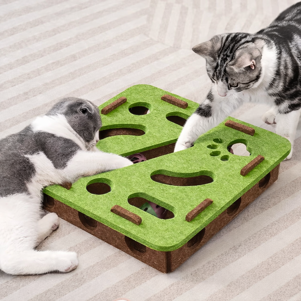 Mental Stimulation Puzzle Toy for Indoor Cats 🧠
