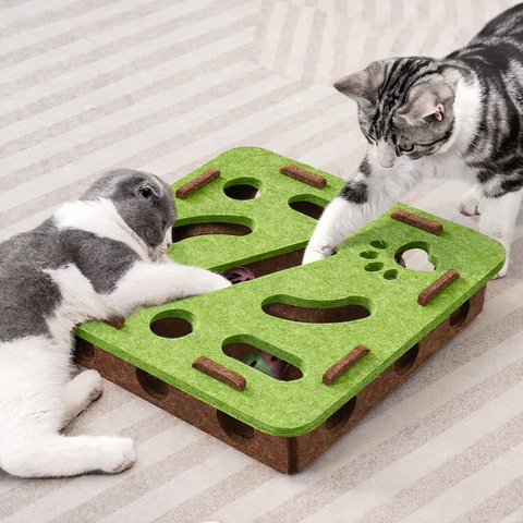 Mental Stimulation Puzzle Toy for Indoor Cats 🧠